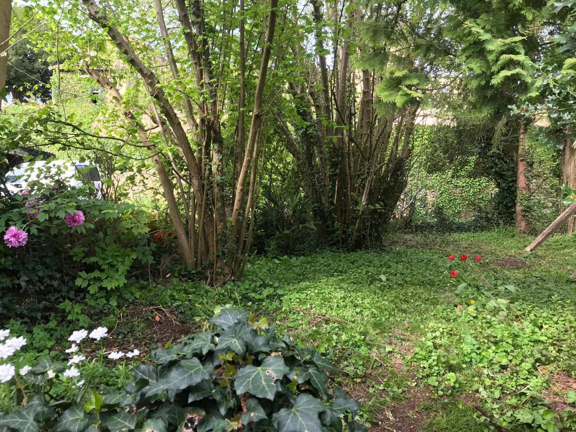 Villa Marguerite Terrasse & Garage Belvès Zewnętrze zdjęcie